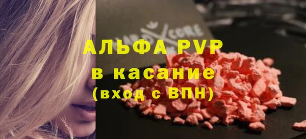 дживик Няндома