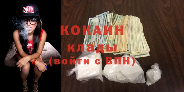 дживик Няндома