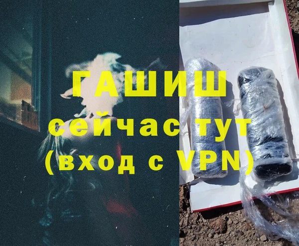 дживик Няндома
