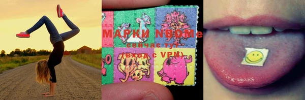 дживик Няндома