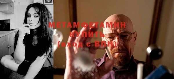 дживик Няндома