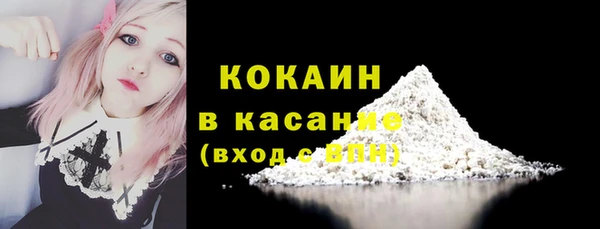 дживик Няндома