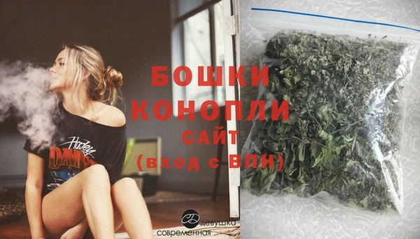 дживик Няндома