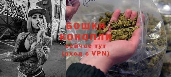 дживик Няндома