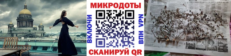 Галлюциногенные грибы Psilocybine cubensis  цены наркотик  Купино 